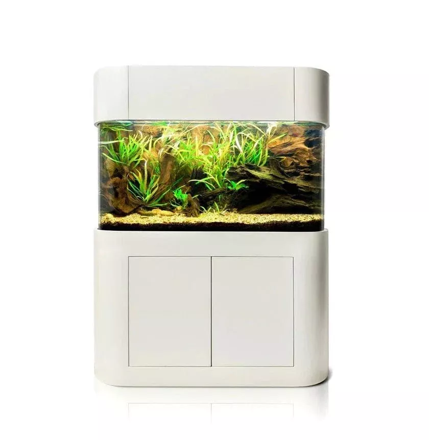 170g Panoramic Reef-Ready Aquarium Set in White
