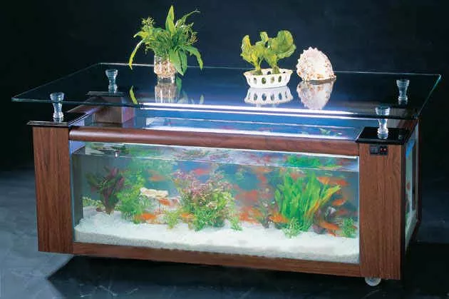 45 Gallon GLASS Rectangle Table Aquarium Fish Tank - Full Setup