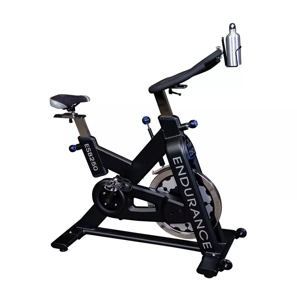 Body-Solid Endurance Indoor Training Cycle