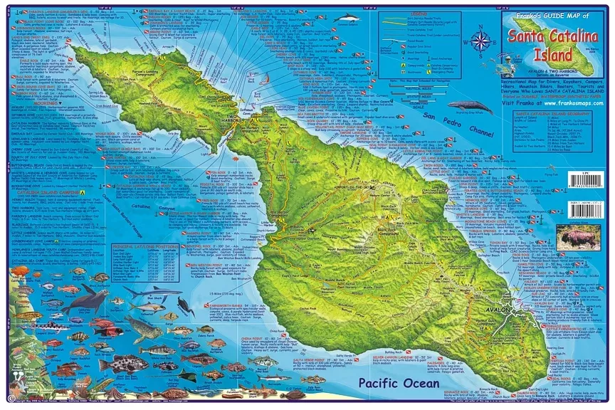 Catalina Island Dive Map - Waterproof