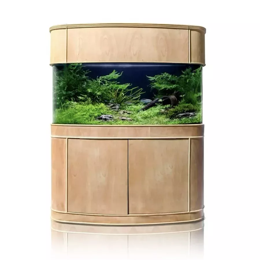 Glass Bowfront Aquarium Fish Tank