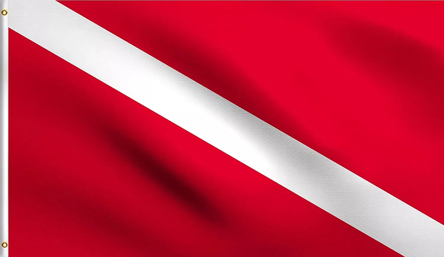 Lost Winds Dive Flag