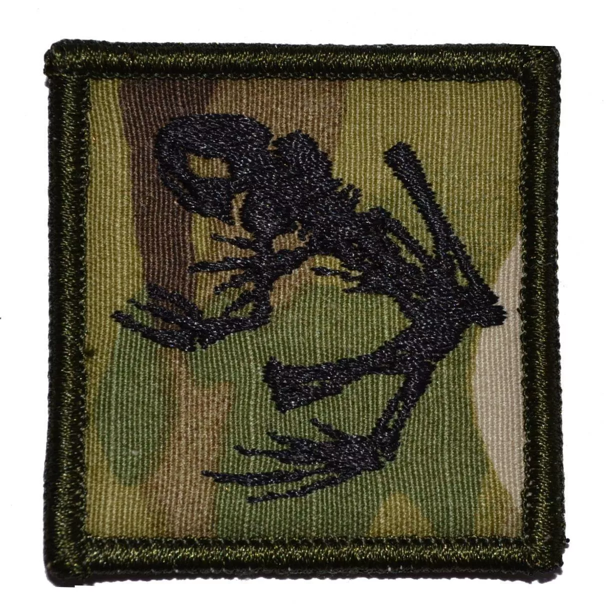 Offbase Bone Frog Patch