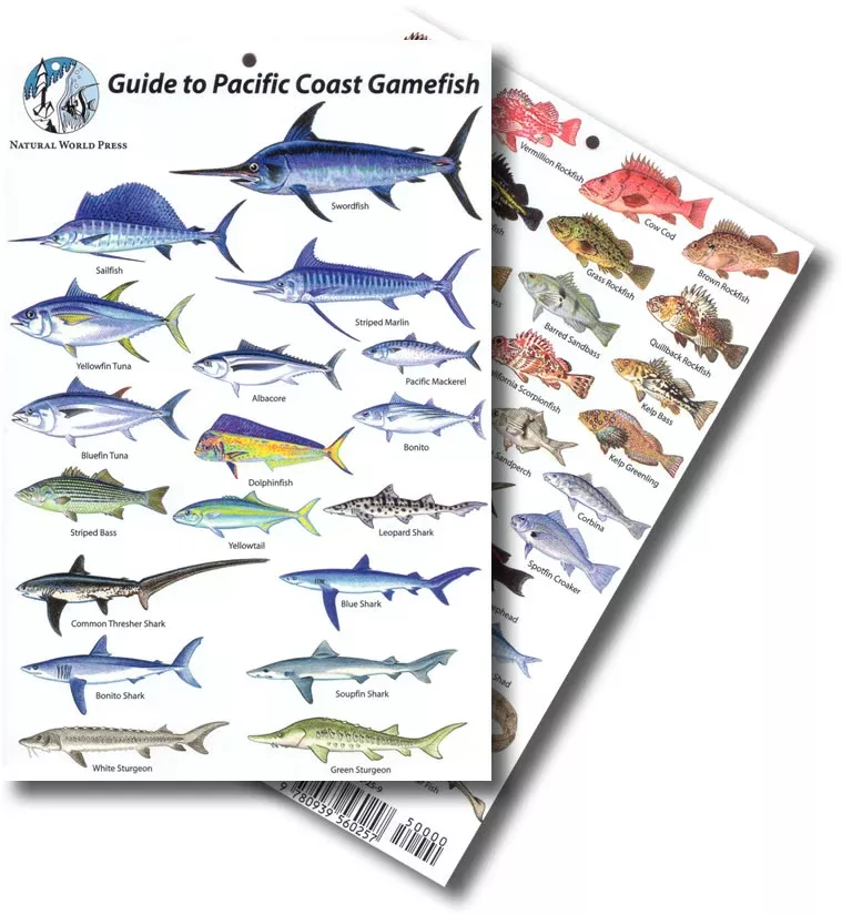 Pacific Coast Gamefish Identification Card