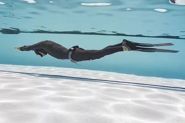 PADI Basic Freediver Course