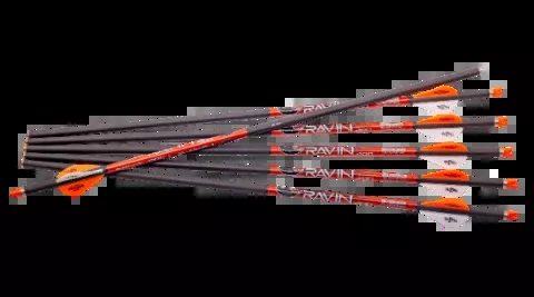 Ravin Arrows 400 Grain (6 pack)