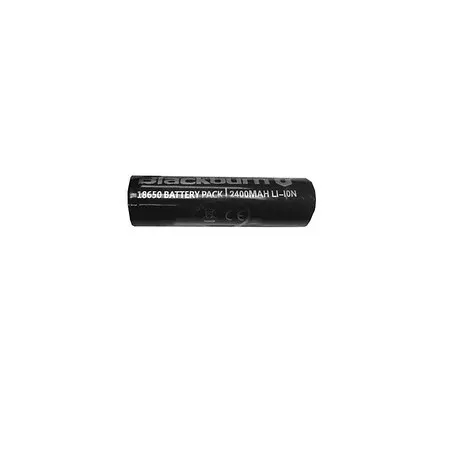 Replaceable Battery