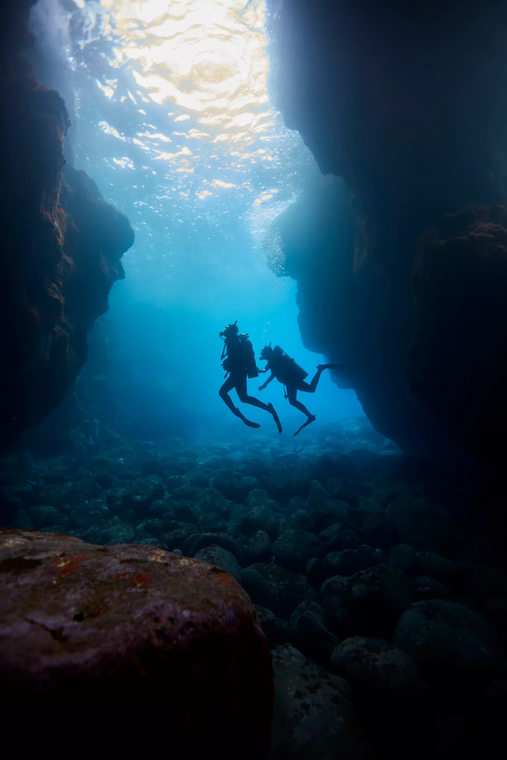 Scuba Diving Guide