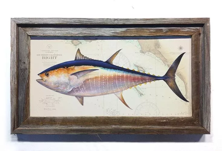 Studio Abachar Bluefin Over Chart