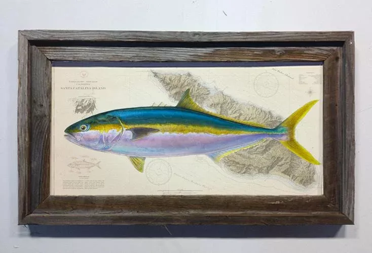 Studio Abachar Yellowtail Over Chart